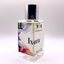 Load image into Gallery viewer, Ixora - Sachs Museum Exhibit at Missouri Botanical Garden